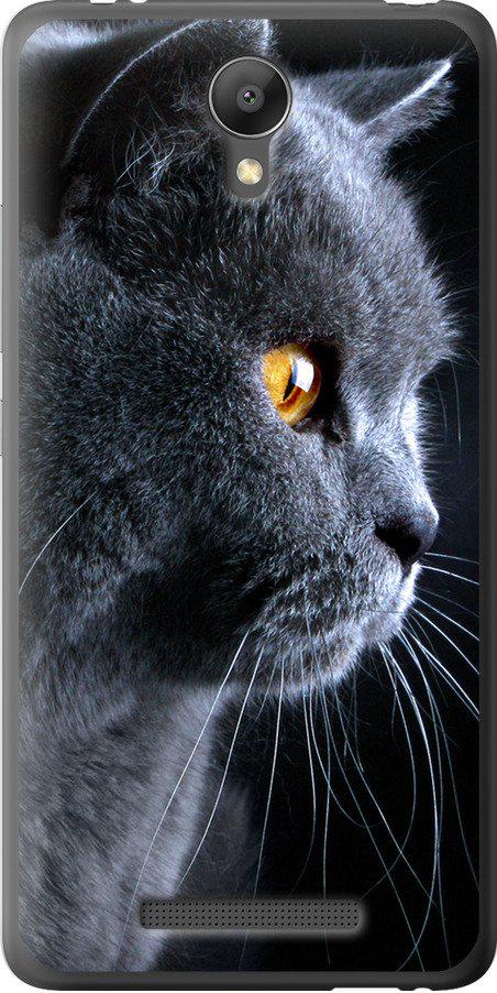 Чехол на Xiaomi Redmi Note 2 Красивый кот (3038t-96-42517)