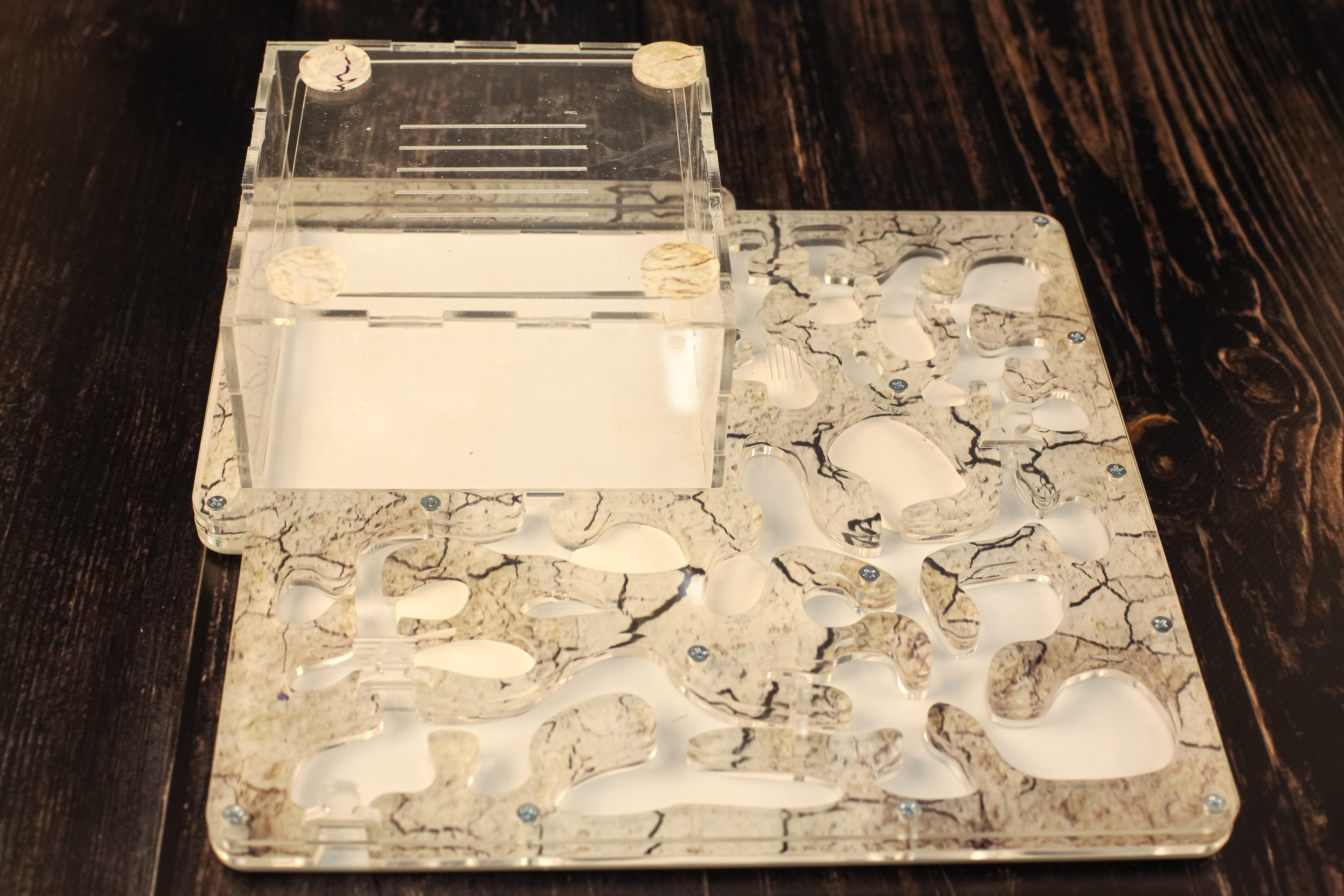 Муравьиная ферма Ant Temple Формикарий максимум 25х25 см