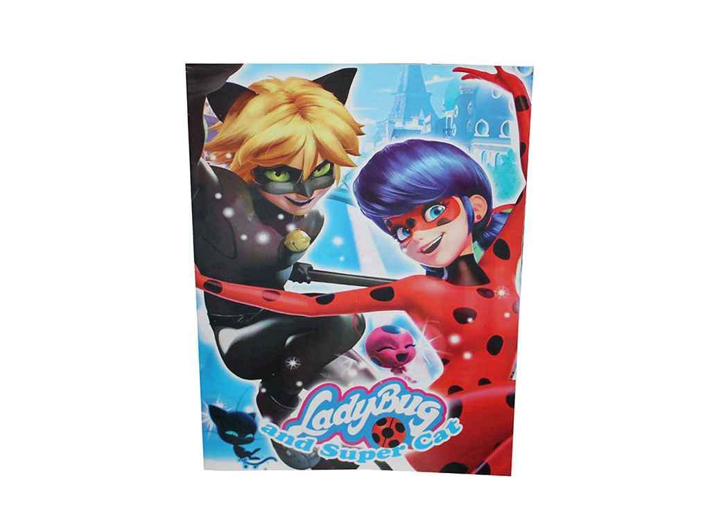 Раскраска Слово А4 Lady Bug and Super Cat-4 12 арк. (822687)