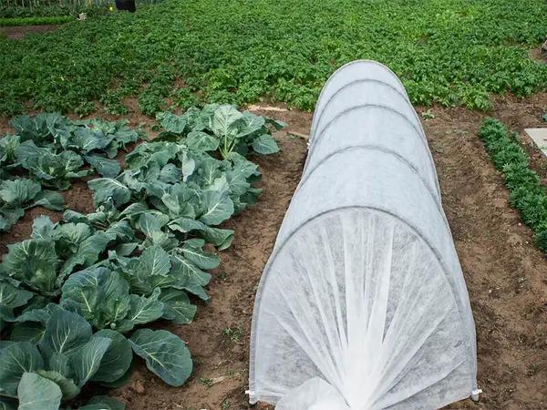 Теплица из агроволокна MAKSIAGRO 4м 50/м2 - фото 7 Теплица из агроволокна MAKSIAGRO 4м 50/м2 - фото 7