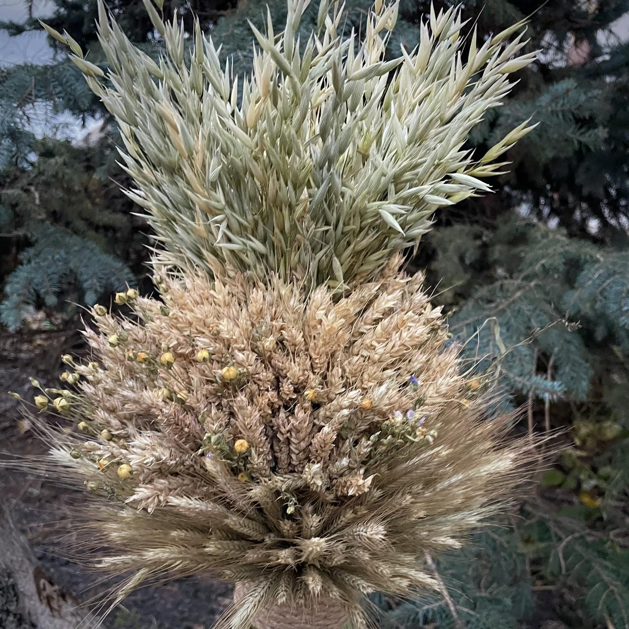 Рождественский дидух комбинированный из разных колосков 50 см (2007284665) - фото 3 Рождественский дидух комбинированный из разных колосков 50 см (2007284665) - фото 3