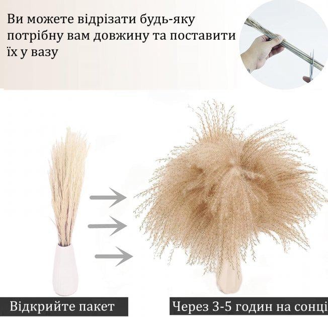 Комплект пампасной травы для декора 90 шт. (BE-90-PW) - фото 4 Комплект пампасной травы для декора 90 шт. (BE-90-PW) - фото 4