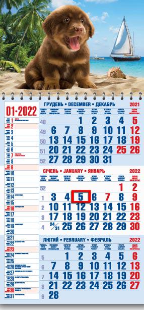 Календарь настенный квартальный МАРКО на 2022 год офисный 1 Щенята (офіс1-16 2022)