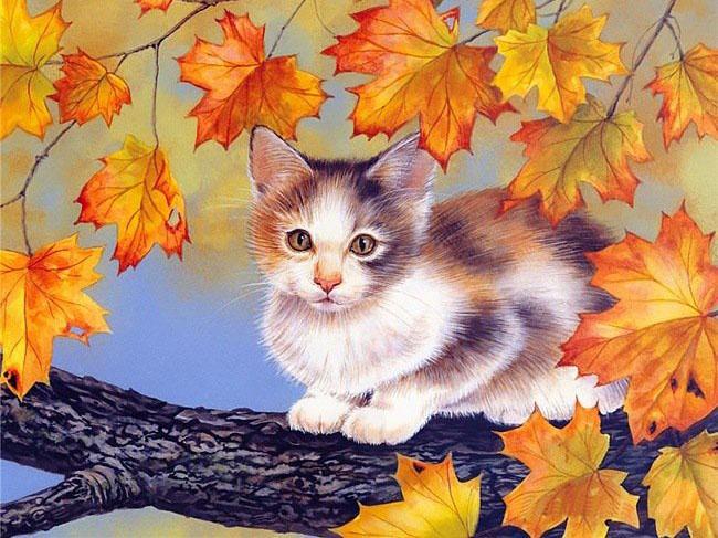 Алмазная мозаика Котенок на ветке 40x30 см (skl-DM-255)