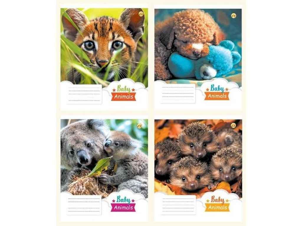 Тетрадь в косую линию Тетрада 12 л. 25 шт. твердая 43107 Животные (1064062)