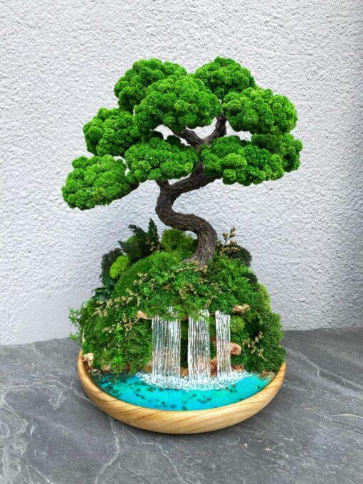 Бонсай над водоспадом зі стабілізованими рослинами 27х21 см