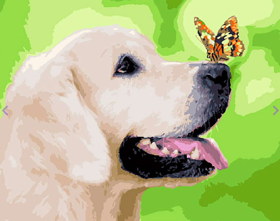 Картина по номерам Brushme Лабрадор и бабочка (GX29813) Картина по номерам Brushme Лабрадор и бабочка (GX29813)