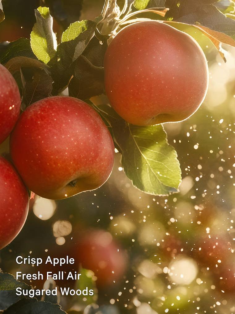 Лосьйон для тіла Victoria's Secret Dreamy Apple Orchard Fragrance Lotion 236 мл (26999129) - фото 2 Лосьйон для тіла Victoria's Secret Dreamy Apple Orchard Fragrance Lotion 236 мл (26999129) - фото 2