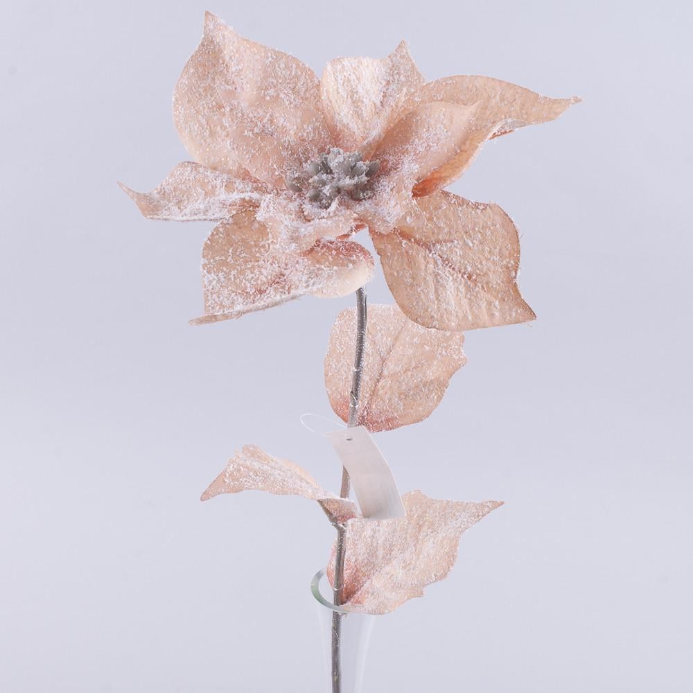 Пуансетия SA-01 нежная пастель в снегу (2122-2)