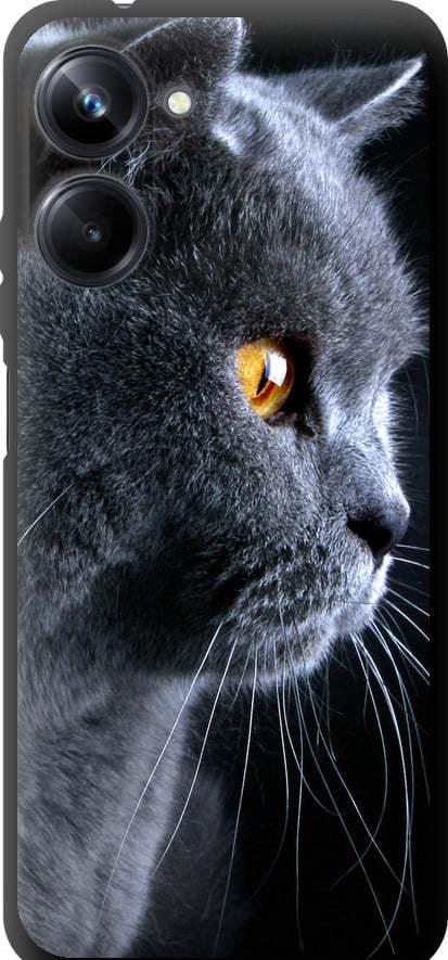 Чехол на Realme 10 Pro Красивый кот (3038b-2945-42517)