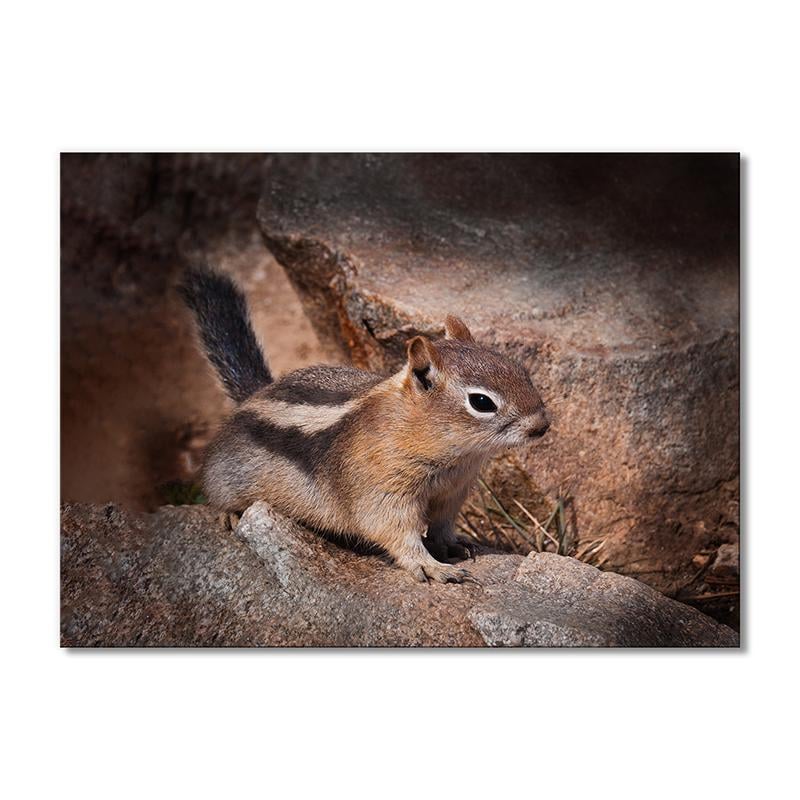 Картина модульная Бурундучек 1 модуль 50x75 см