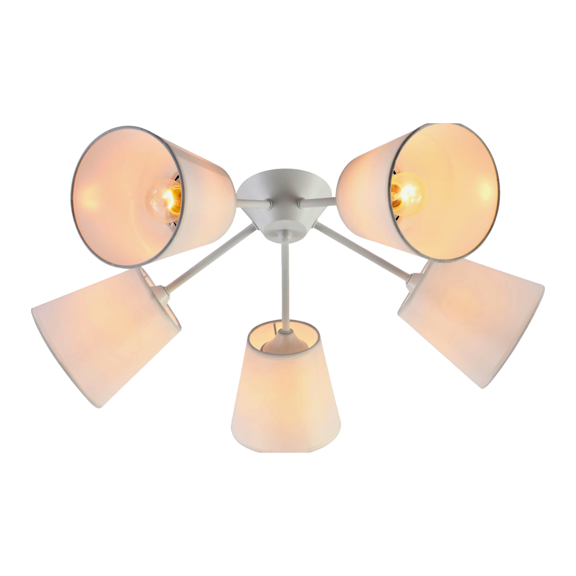 Люстра декоративная Valeso V XA1460B/5 WH на 5 плафонов