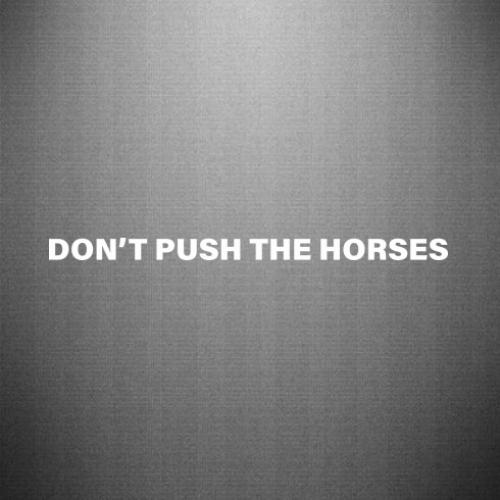 Наклейка Don’t push the horses 40x2,3 см (28216688)