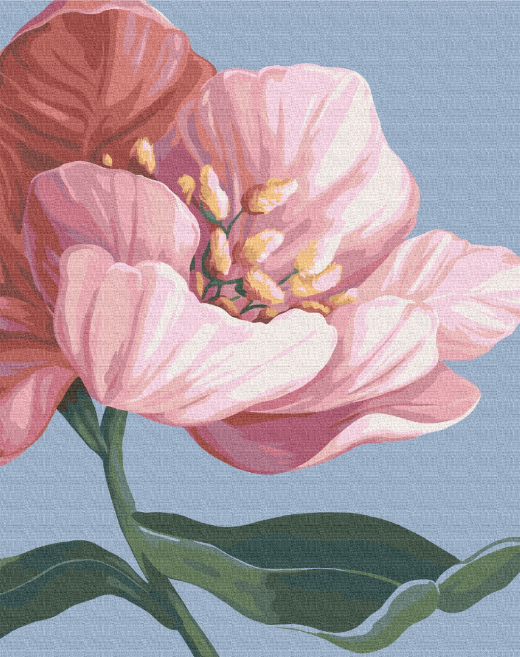 Картина по номерам Brushme Расцветай 40х50 см (BS53759) Картина по номерам Brushme Расцветай 40х50 см (BS53759)