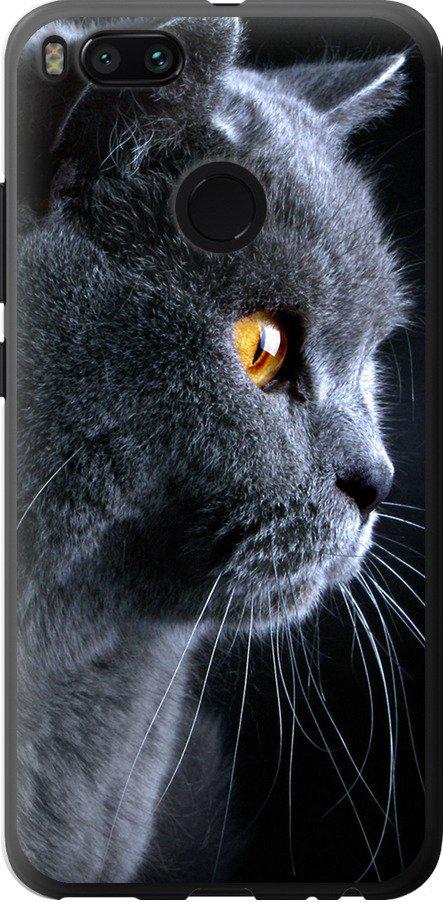 Чехол на Xiaomi Mi A1 Красивый кот (3038t-1132-42517) Чехол на Xiaomi Mi A1 Красивый кот (3038t-1132-42517)