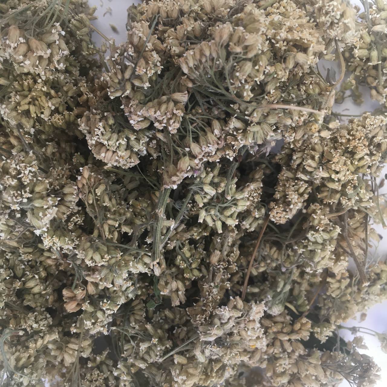 Тысячелистник трава Карпаты 50 г (628912dabace2d50840356c2)