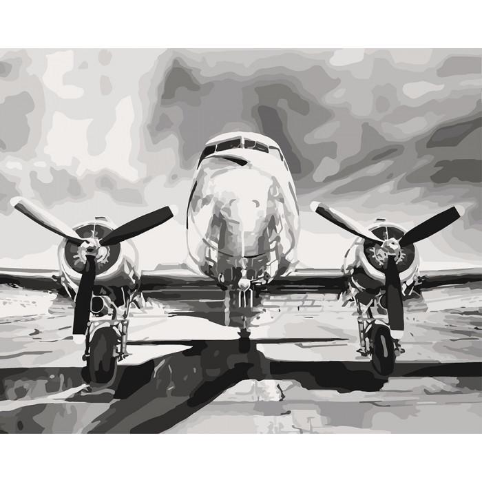 Картина по номерам Ідейка Мечта о высоте 40х50 см (KHO2518)