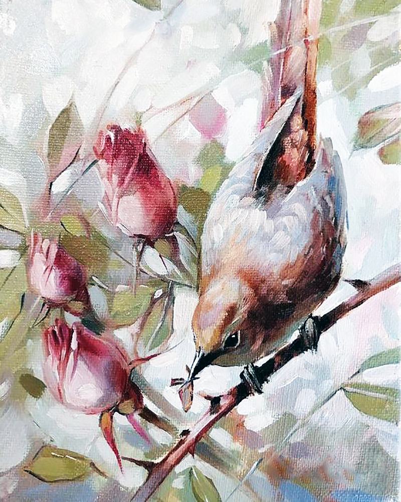Алмазная мозаика Чарівний діамант Соловой 40x50 см (КДИ-1635)