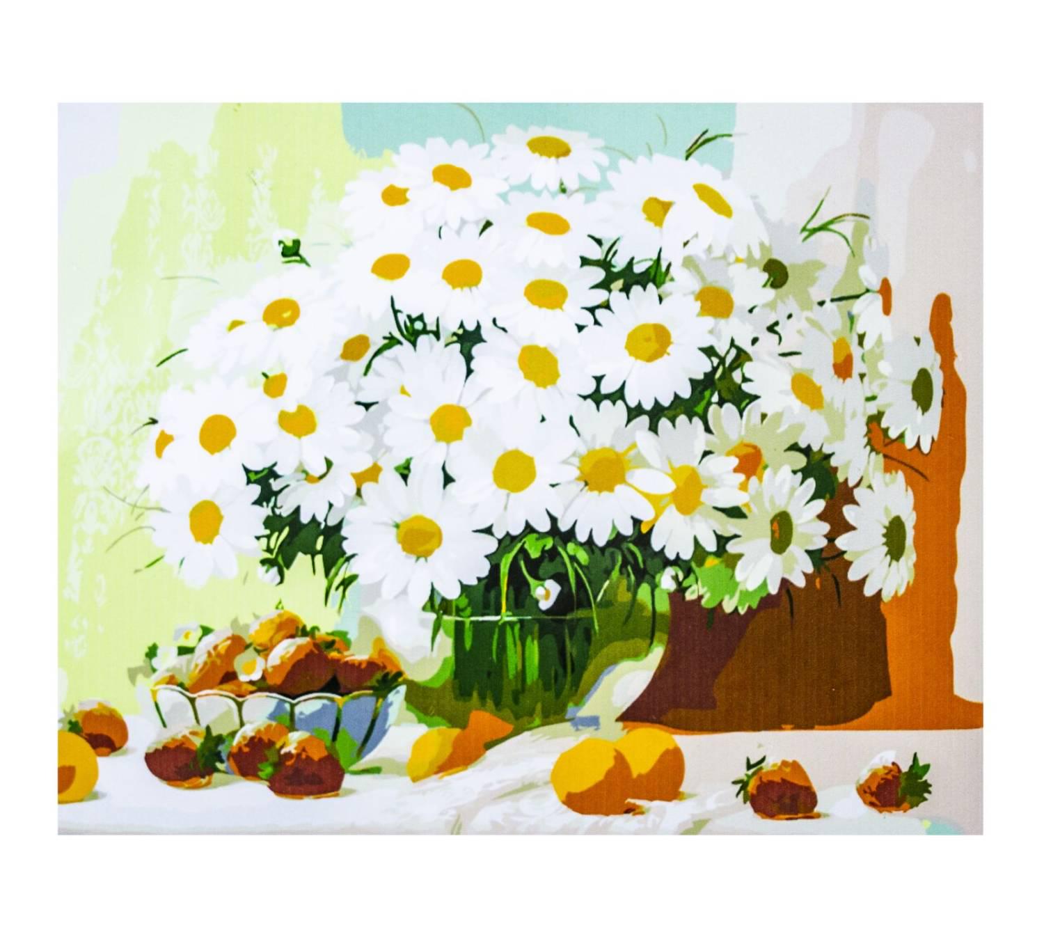 Картина за номерами Ромашки з фарбами та пензлями 40х50 см (JY001k)