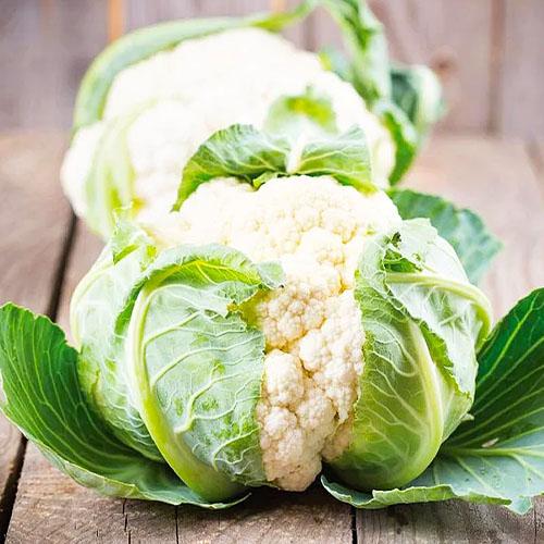 Семена Капуста Florium цвітна Гудмен (8561) Семена Капуста Florium цвітна Гудмен (8561)