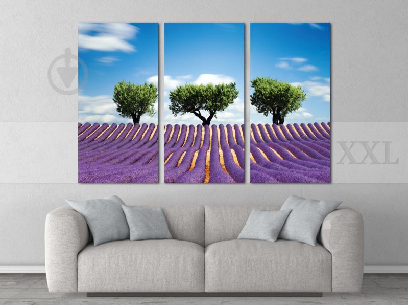 Модульна картина Poster-land Полі Лаванди Art-46_XXL