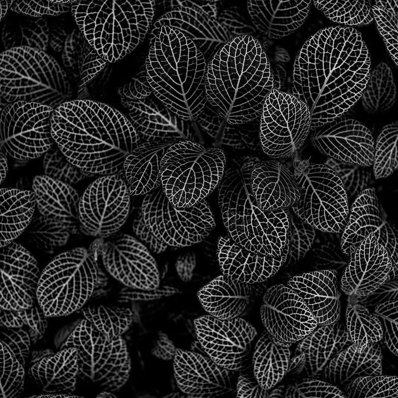 Фотофон виниловый Frontlit 120x120 см 450 г/м2 №551473 (551473-120)