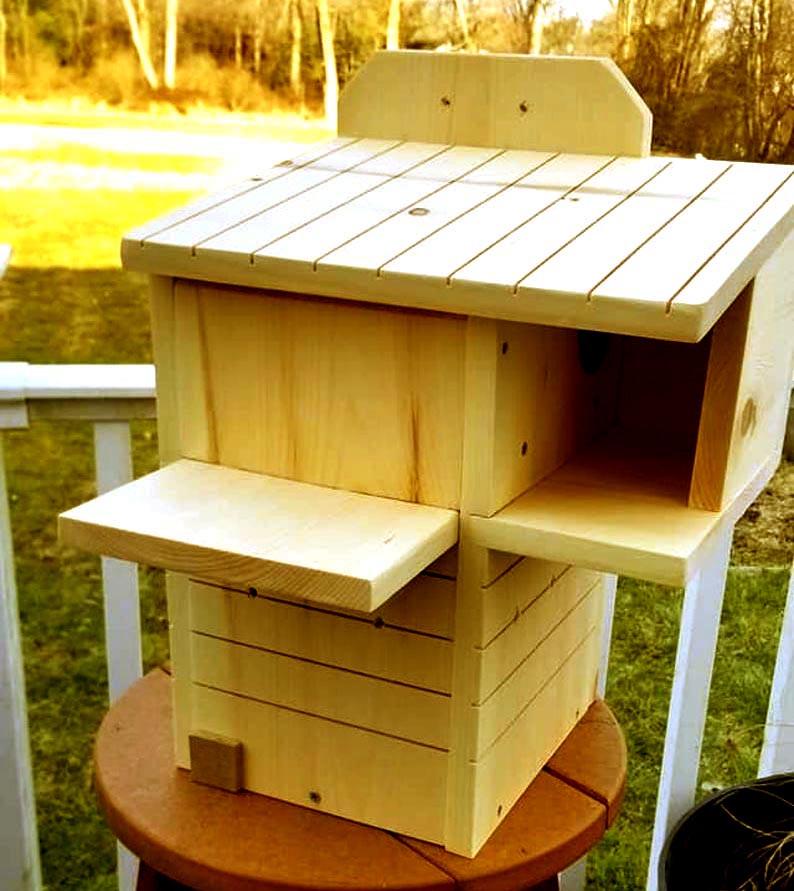 Домик для белок из дерева Чилим Карри (ДДБ-000703) - фото 2 Домик для белок из дерева Чилим Карри (ДДБ-000703) - фото 2