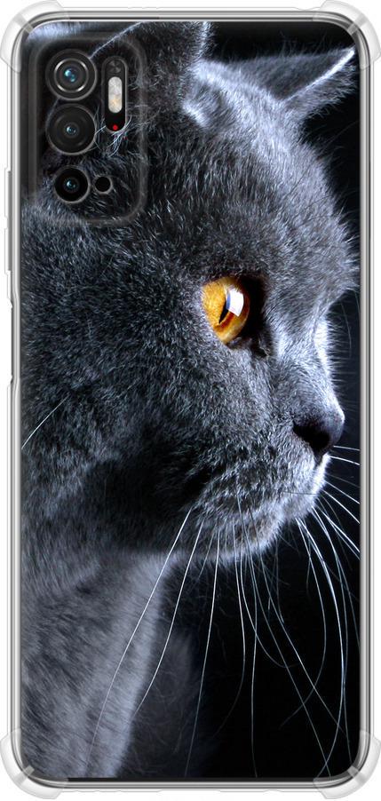 Чехол на Xiaomi Redmi Note 10 5G Красивый кот (3038sp-2556-42517)