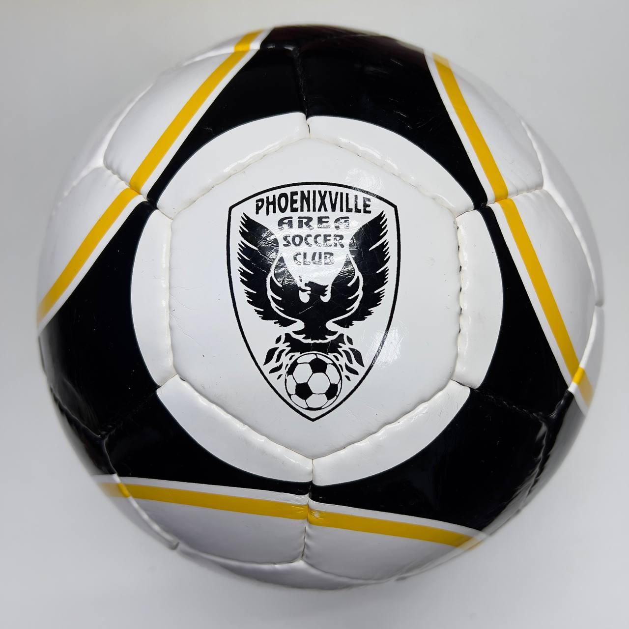 Мяч футбольный Practic PHOENIXVILLE Size 5 (11260762)