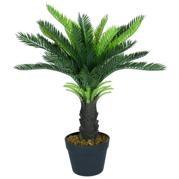 Штучна рослина Engard Cycas Palm 60 см (DW-24)