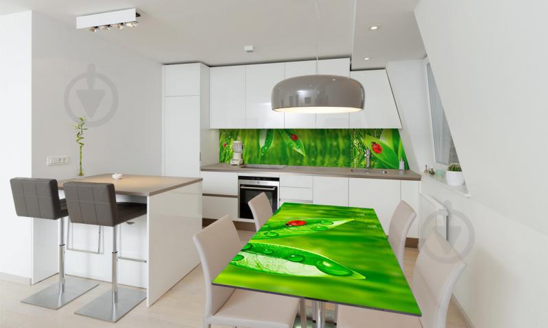 Наклейка виниловая на стол Zatarga «Трава и Божьи коровки» 650х1200 мм Z180353/1st Наклейка виниловая на стол Zatarga «Трава и Божьи коровки» 650х1200 мм Z180353/1st