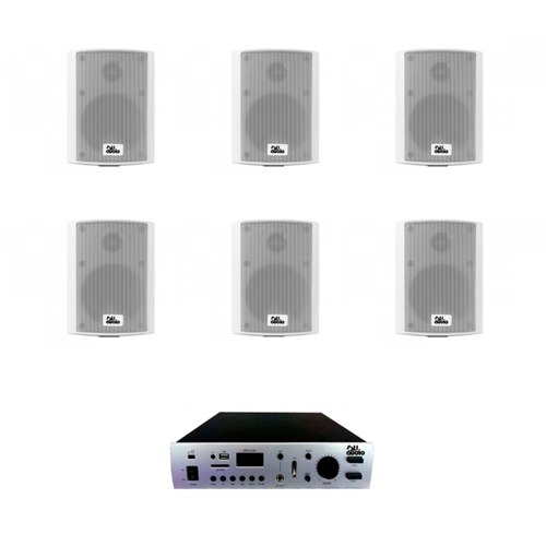 Комплект фоновой озвучки PAMP-60-2Z6 (124777)