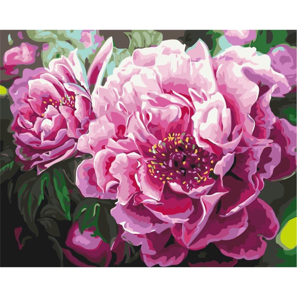 Картина за номерами Brushme Розкішний піон BS4667 40x50 см (RLT28931) Картина за номерами Brushme Розкішний піон BS4667 40x50 см (RLT28931)