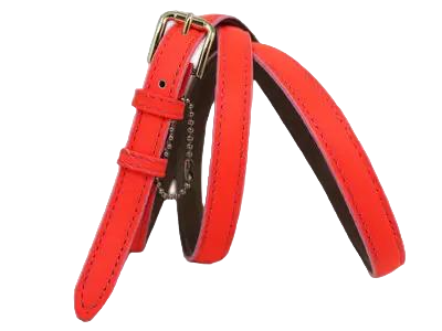 Ремінь жіночий шкіряний Mykhail Ikhtyar Помаранчевий (3887 orange)