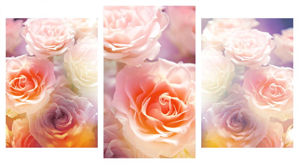 Модульна картина Декор Карпати 100х53 см (M3-4)