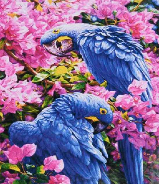 Картина за номерами TK Group 31694 30 Папуги 30х40 см (110338)