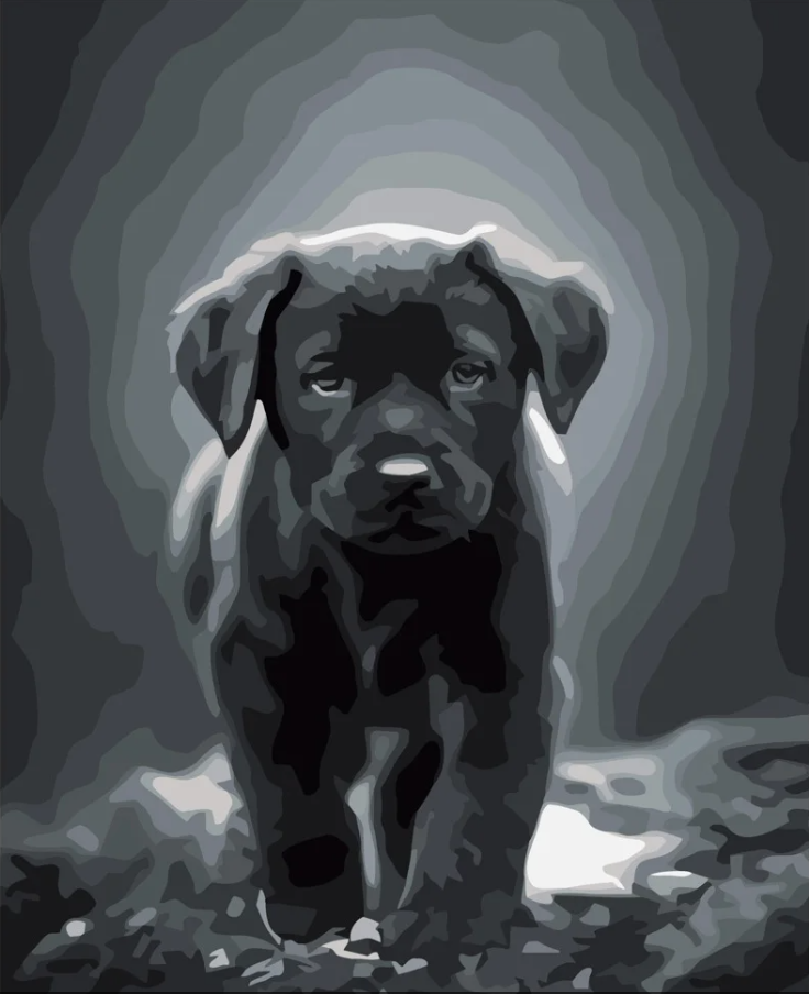 Картина за номерами Strateg Маленький лабрадор 40х40 см (DY277)