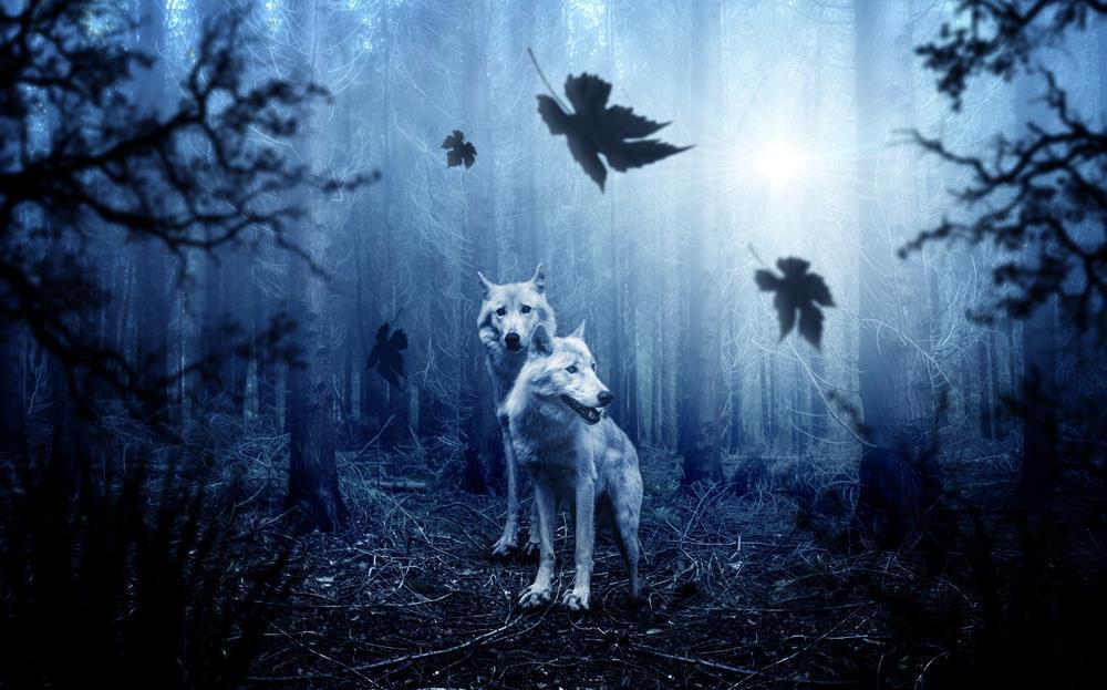 Картина на холсте Волки 30х40 см (T192)