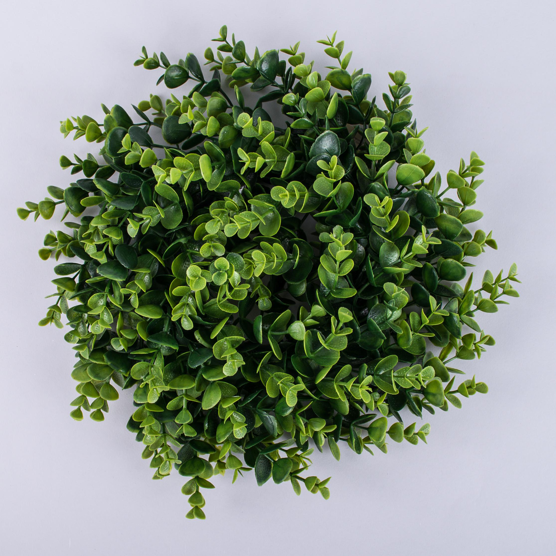 Вон из эвкалипта (2478)