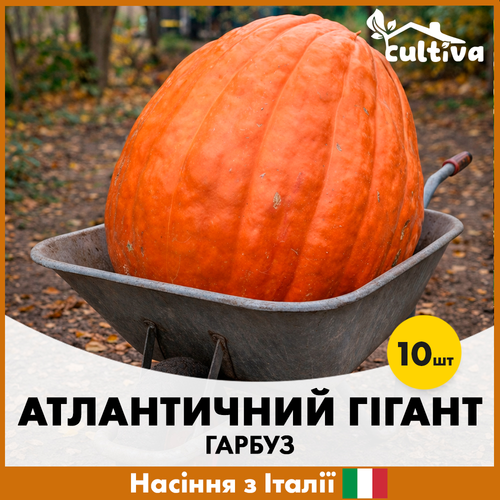Насіння гарбузу Hortus Атлантичний гігант 10 шт. (R5119620)