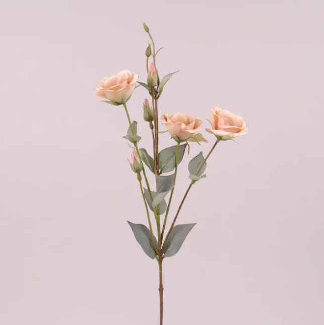 Цветок Эустома Flora Бежевый (73050)