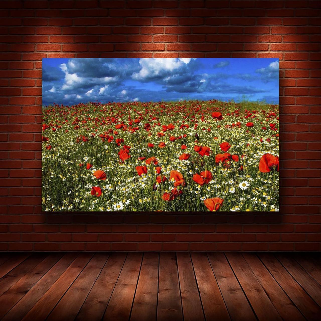Картина на холсте Природа 50х70 см (N972)