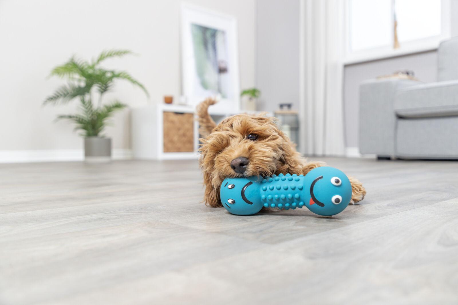 Игрушка Trixie Гантель смайлик 19 см (TX-35251) - фото 2 Игрушка Trixie Гантель смайлик 19 см (TX-35251) - фото 2