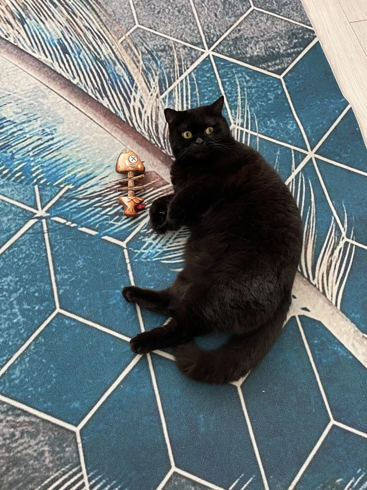 Іграшка для котів Рибний скелетик мататабі й котяча м'ята (23689481) - фото 9