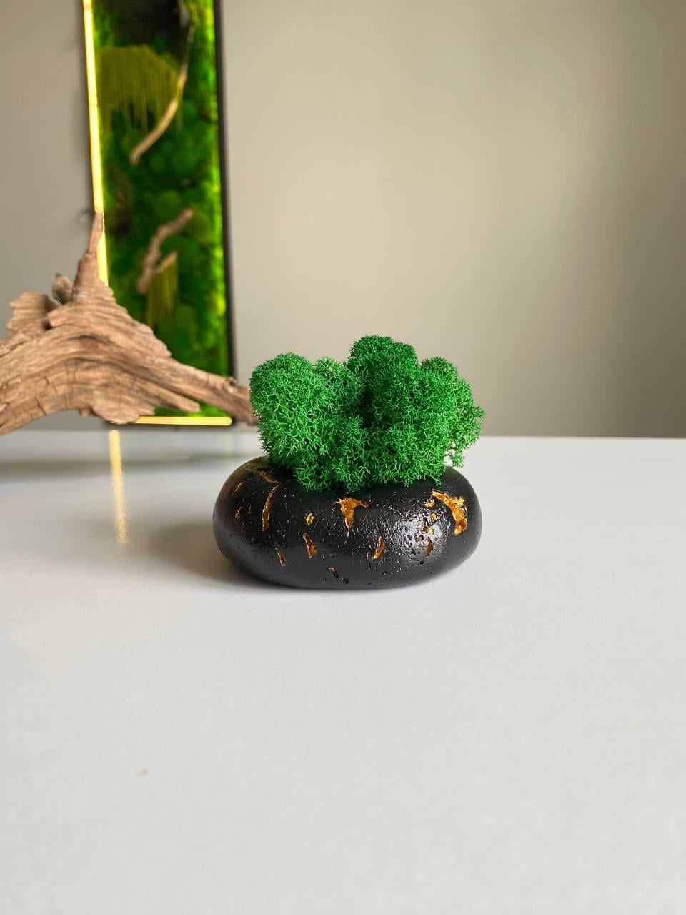 Кашпо гипсовое с мхом 7 см Черный