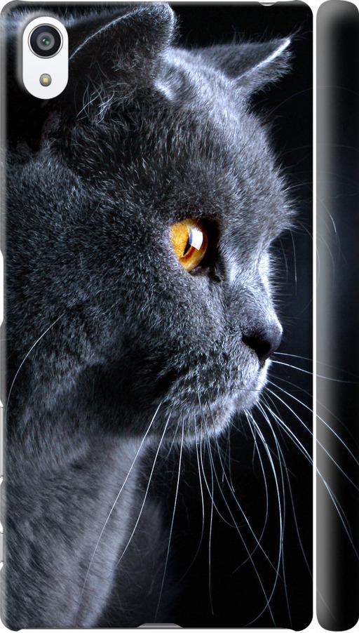 Чехол на Sony Xperia Z5 Premium E6883 Красивый кот (3038c-345-42517)