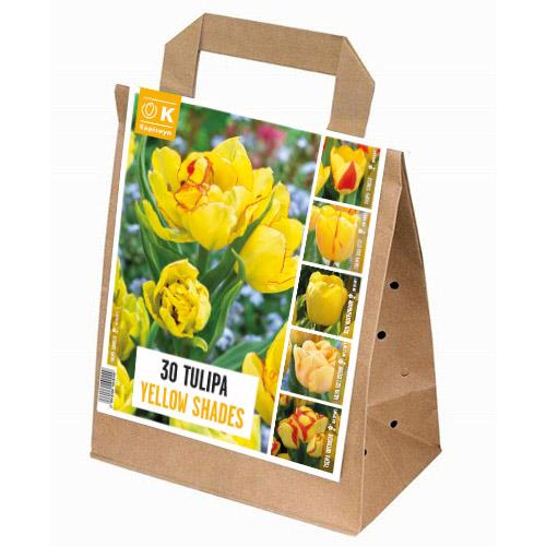 Тюльпан Florium Yellow Shades брендовые луковицы kapiteyn (15315)