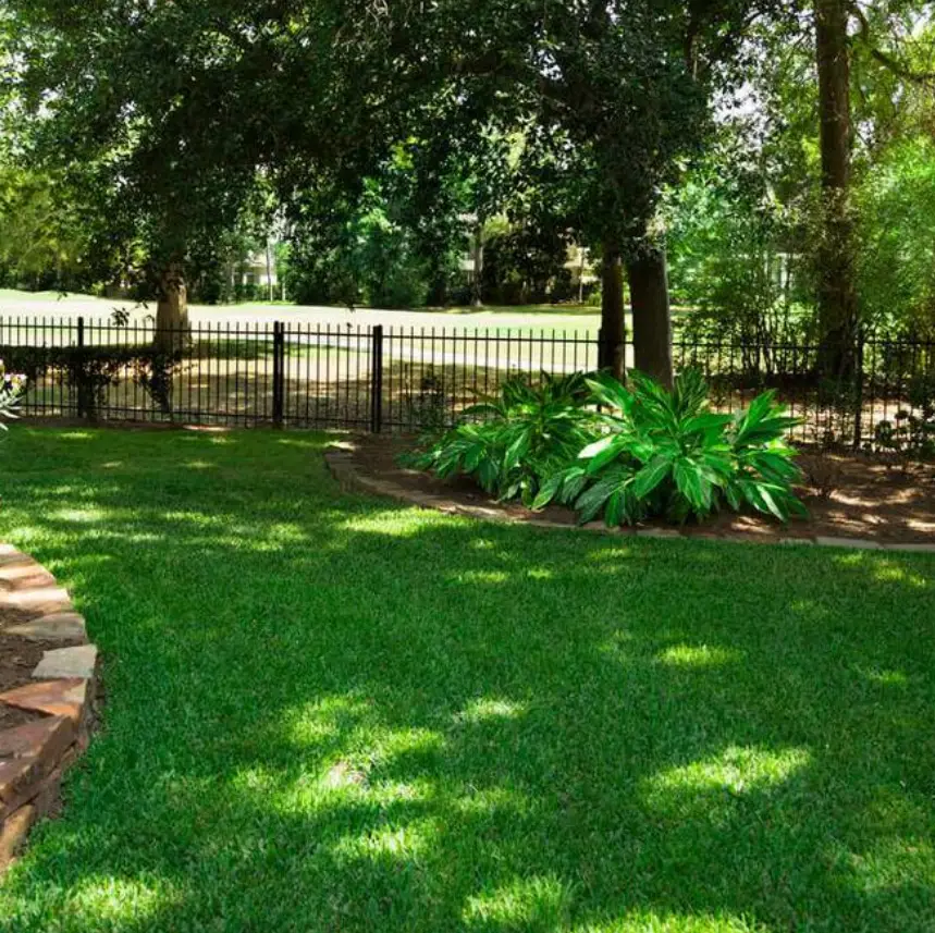 Насіння газонної трави GrassNature Тіньова 5 кг (24463268) - фото 2