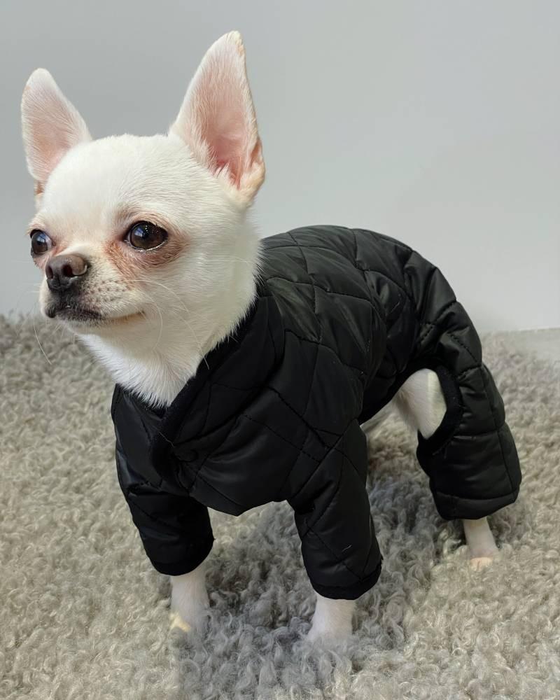 Комбинезон для собак двухсторонний AS-9 стеганный р. 8 Черный (72161981)