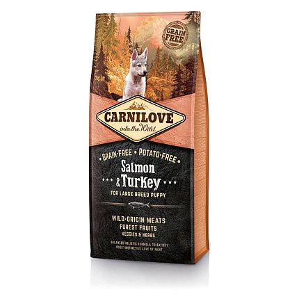 Корм для собак сухой Carnilove Puppy Large Breed Salmon and Turkey с лососем и индейкой 12 кг